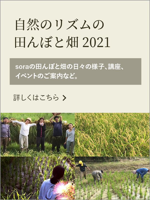 自然のリズムの田んぼと畑の会2021
